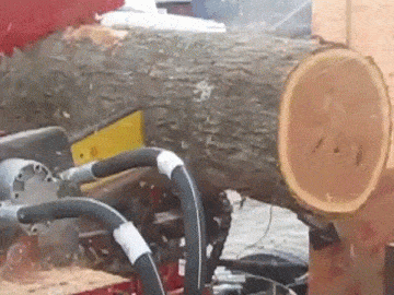 wp-1451563505823 image